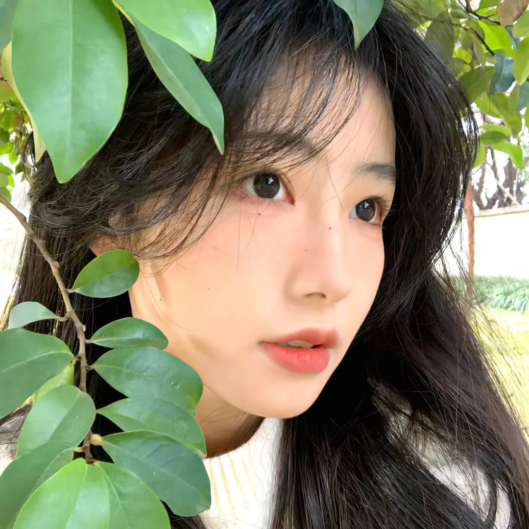 几何